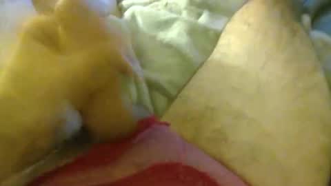 milkncookies8 online show from 10/03/25, 05:59