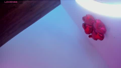 Snapshot of minami_nakamura chatting on 06/27/26, 02:38 minami_nakamura online show from 06/27/26, 02:38