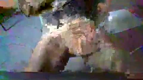 minoas31 online show from 12/13/24, 08:09