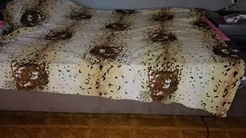 Happy New Year  online show from 11/10/25, 12:37