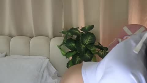 Snapshot of mishelle___7 chatting on 07/05/26, 04:47 Shell online show from 07/05/26, 04:47