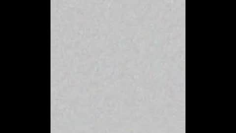 Misa online show from 11/24/25, 08:03