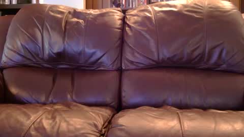 misohoney007 online show from 04/11/26, 12:42