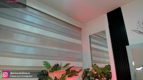 Catalina online show from 04/06/26, 11:44