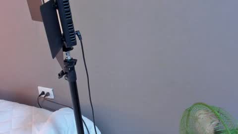 daniela online show from 10/27/25, 01:31