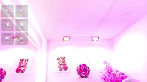 Melanie online show from 03/21/26, 12:21