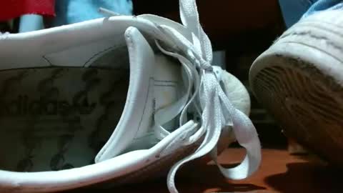 Miss samy online show from 01/28/25, 02:53