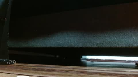 Miss samy online show from 02/05/25, 02:05