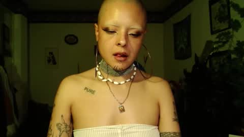 Anarkitten  online show from 12/19/25, 12:17