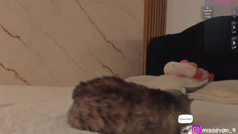 Snapshot of missevan chatting on 04/22/26, 12:39 Sami Evan online show from 04/22/26, 12:39