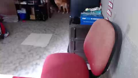 Maria Gomezz online show from 03/19/26, 04:11