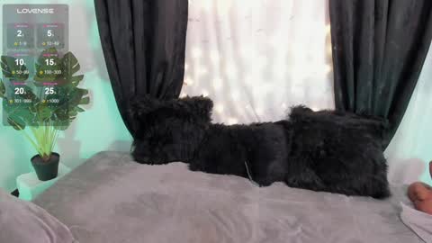 Alejandra  online show from 12/06/24, 01:44