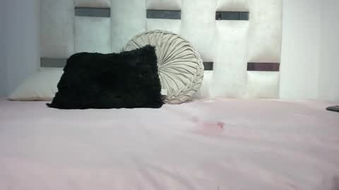 missnatasha05 online show from 09/26/25, 12:03