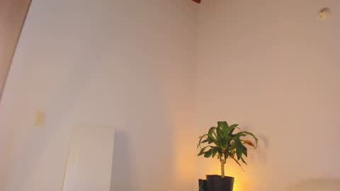 misspaulag online show from 01/31/25, 04:03