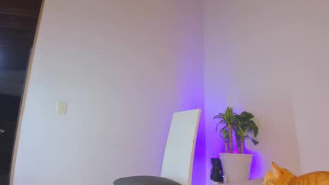 misspaulag online show from 02/14/25, 12:41