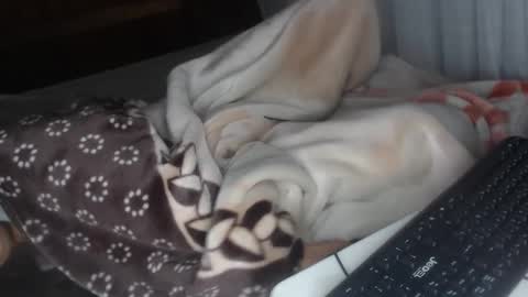 sarah online show from 12/28/24, 04:30