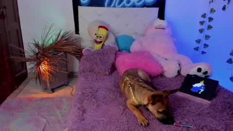 Snapshot of misstexass_ chatting on 12/04/24, 06:06 Natalie Texass indepedent model online show from 12/04/24, 06:06