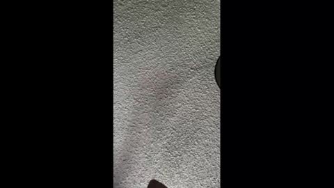 mister_nasty online show from 10/03/25, 09:56