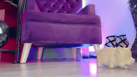 Jhadee online show from 03/07/26, 11:02