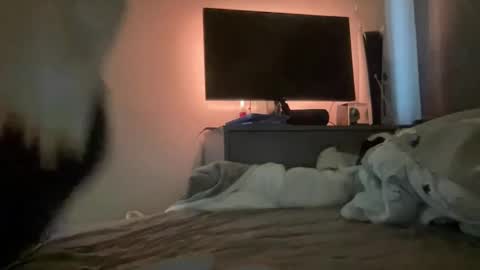 Snapshot of mitchellw7752 chatting on 12/31/24, 12:57 mitchellw7752 online show from 12/31/24, 12:57