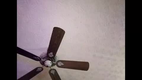 Snapshot of mitchnails69 chatting on 01/04/25, 06:41 BobbyMitchGa online show from 01/04/25, 06:41