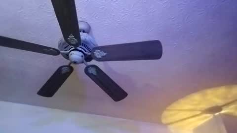 Snapshot of mitchnails69 chatting on 02/12/25, 12:44 BobbyMitchGa online show from 02/12/25, 12:44