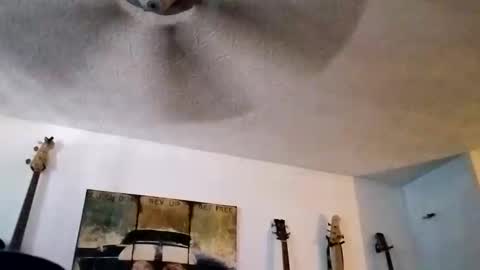 Snapshot of mitchnails69 chatting on 09/14/25, 06:18 BobbyMitchGa online show from 09/14/25, 06:18