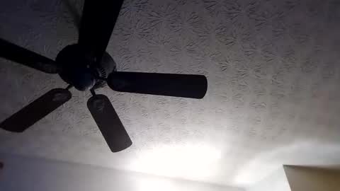 Snapshot of mitchnails69 chatting on 09/18/25, 10:28 BobbyMitchGa online show from 09/18/25, 10:28