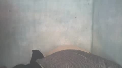 mitsh838354425 online show from 07/11/26, 11:24