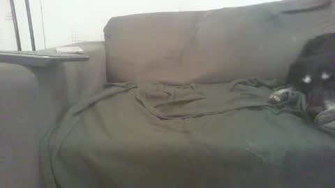 Snapshot of mixandflair chatting on 12/22/24, 08:47 mixandflair online show from 12/22/24, 08:47