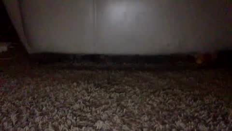 Snapshot of mjg175 chatting on 09/16/25, 06:53 SexyRed online show from 09/16/25, 06:53