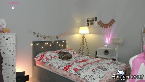 Snapshot of mjgreencat chatting on 12/13/24, 06:59 mj online show from 12/13/24, 06:59