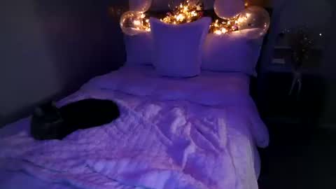 Angel online show from 02/20/26, 06:26