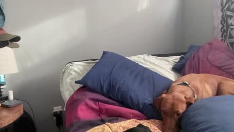 MNTuiLa online show from 02/02/25, 03:39