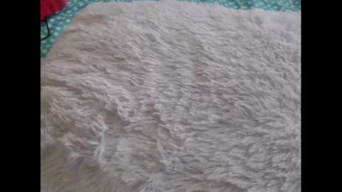 Snapshot of mollyandbra chatting on 02/06/25, 10:21 Molly And Brad online show from 02/06/25, 10:21