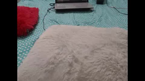 Snapshot of mollyandbra chatting on 02/12/25, 12:48 Molly And Brad online show from 02/12/25, 12:48