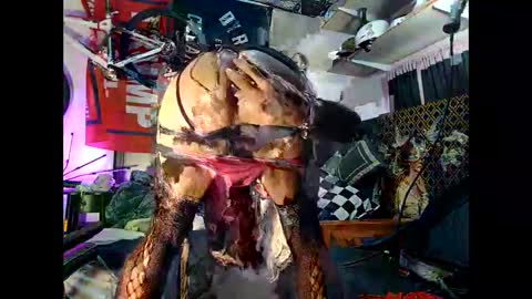 moneyballbaggin online show from 10/15/25, 11:16