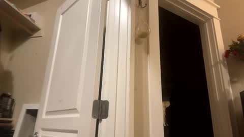 Monroe online show from 12/08/24, 07:37