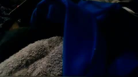 montanacock666 online show from 11/30/25, 06:28