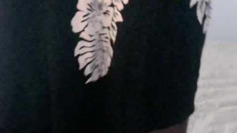 montydxxx2 online show from 02/23/26, 06:55