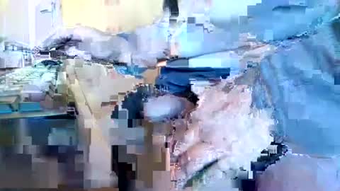 mookie2 online show from 01/11/25, 09:47