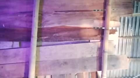 Snapshot of moon_roxee chatting on 01/04/25, 07:13 moon_roxee online show from 01/04/25, 07:13