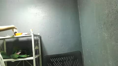 Snapshot of morenang_pinay chatting on 11/23/25, 07:41 morenang_pinay online show from 11/23/25, 07:41