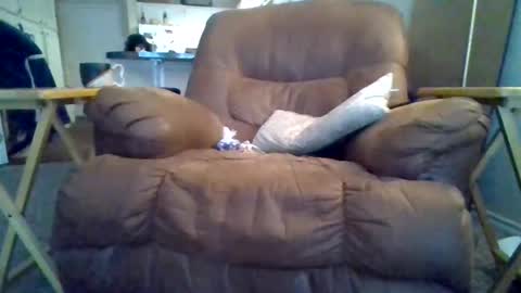 Snapshot of motodub chatting on 03/01/25, 04:00 motodub online show from 03/01/25, 04:00