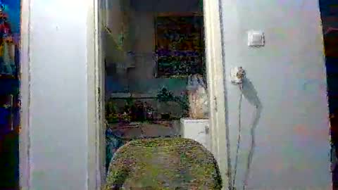 mppempis81 online show from 12/04/25, 03:32