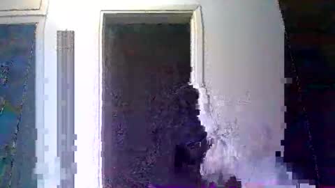 mppempis81 online show from 01/10/26, 10:03