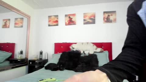 Andy online show from 12/23/24, 04:50