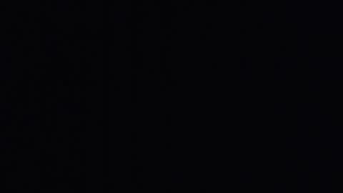 mr_fox69 online show from 04/22/26, 09:33