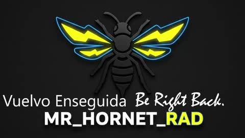 mr_hornet_rad online show from 05/04/26, 01:18