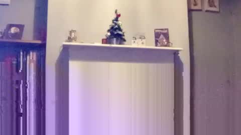 mr_i_ online show from 12/17/24, 08:10